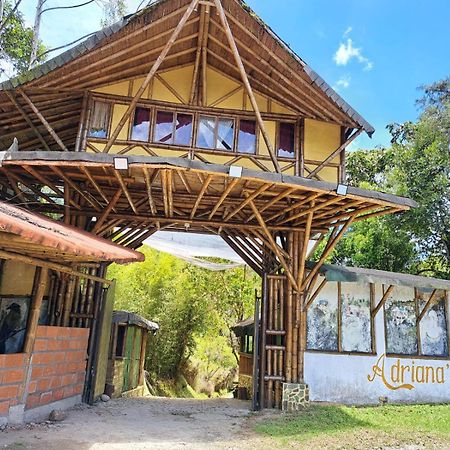 Hotel Guatape Adrianas Bambu Kültér fotó