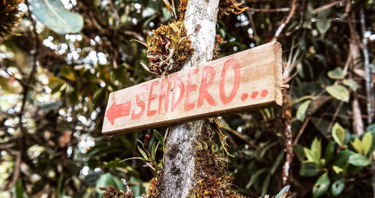 Hotel Guatape Adrianas Bambu Kültér fotó