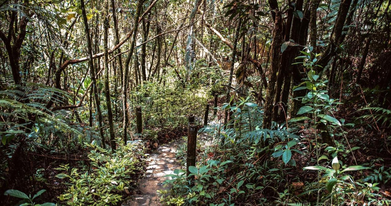 Hotel Guatape Adrianas Bambu Kültér fotó