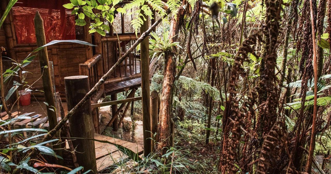 Hotel Guatape Adrianas Bambu Kültér fotó