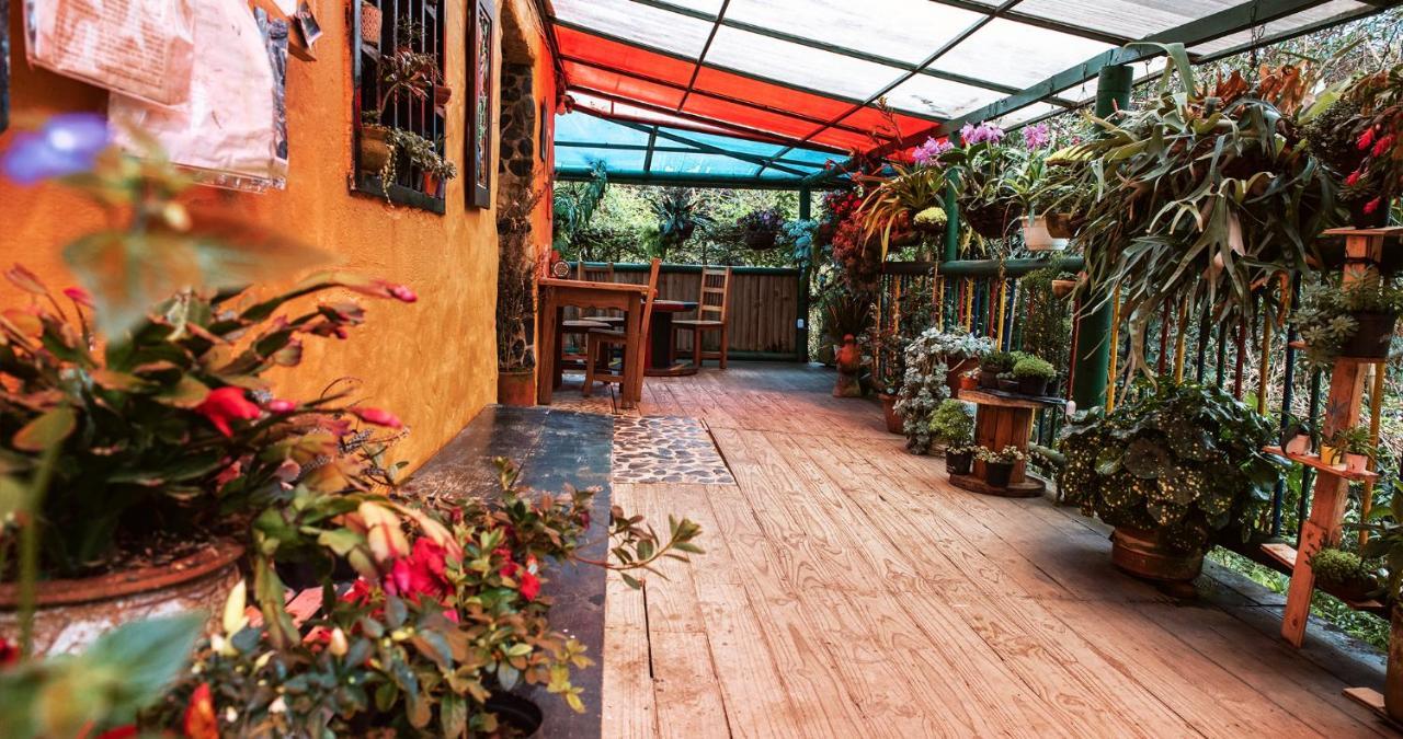 Hotel Guatape Adrianas Bambu Kültér fotó