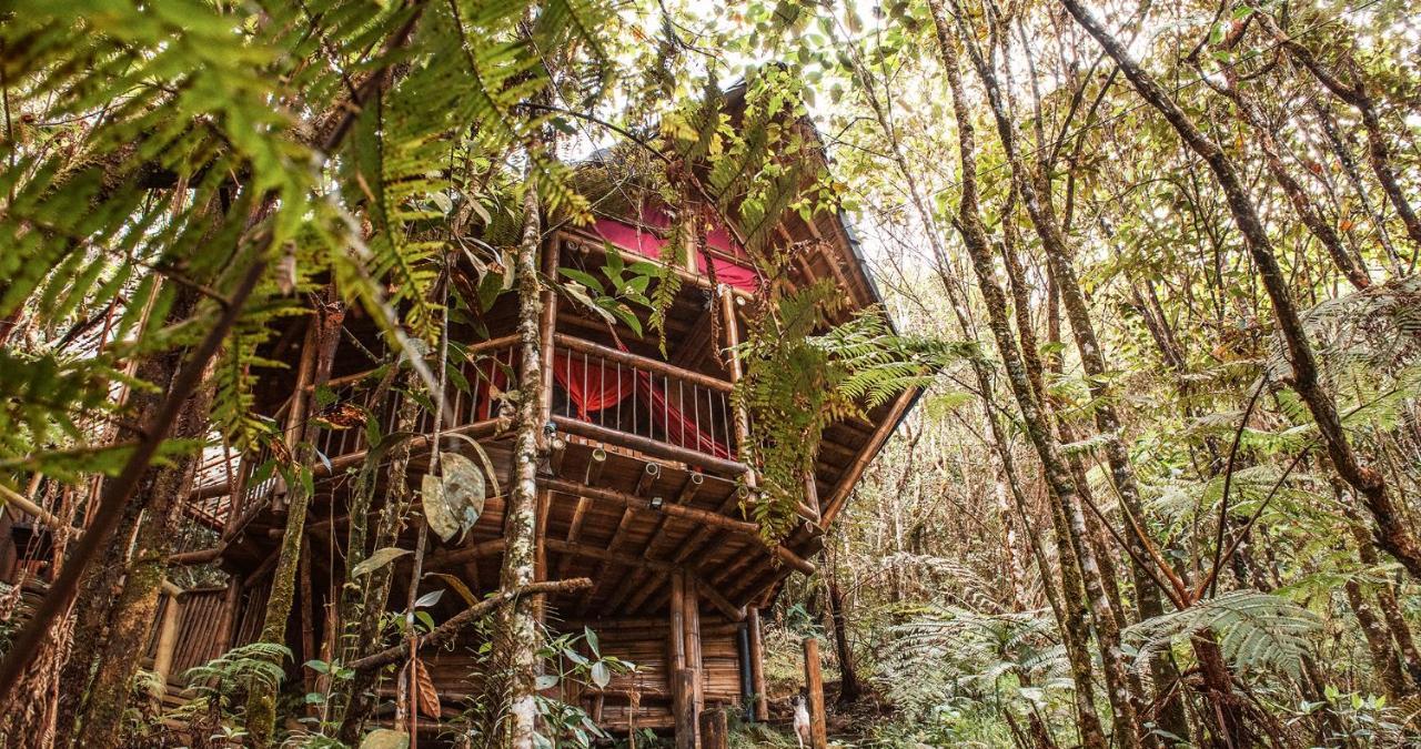 Hotel Guatape Adrianas Bambu Kültér fotó