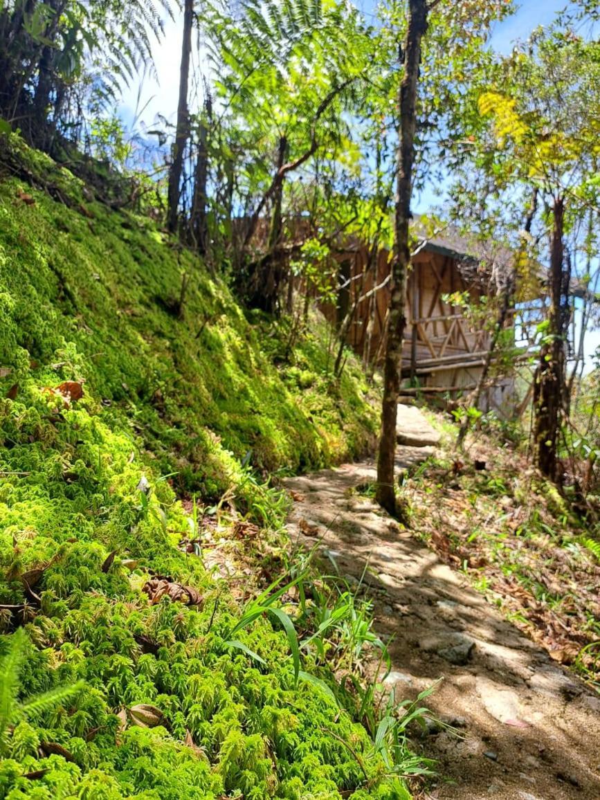 Hotel Guatape Adrianas Bambu Kültér fotó