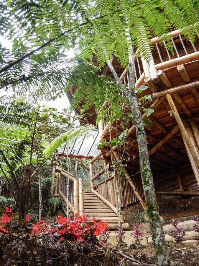Hotel Guatape Adrianas Bambu Kültér fotó