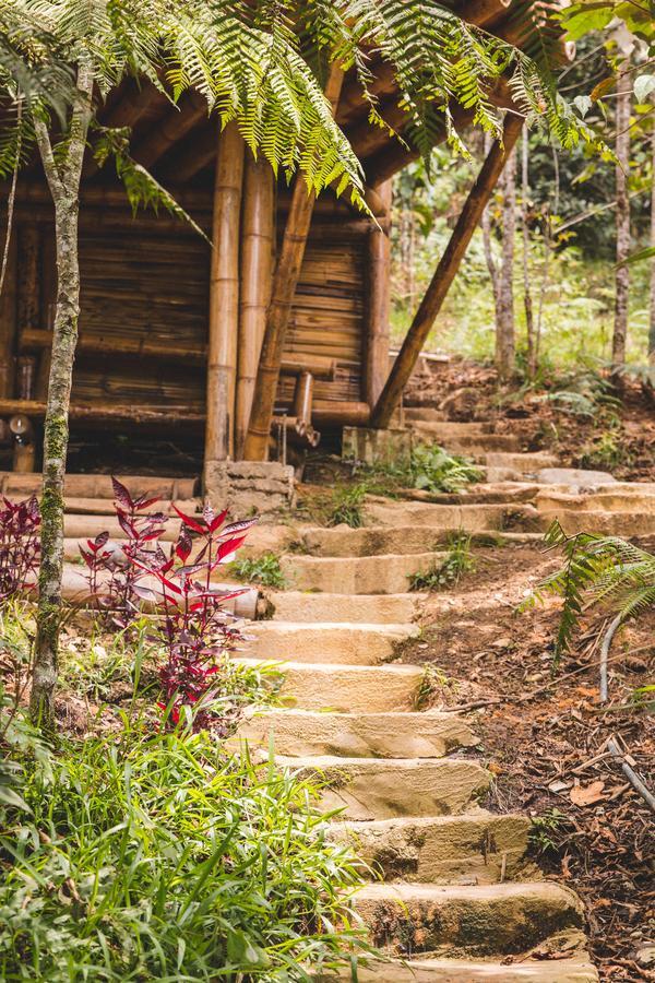 Hotel Guatape Adrianas Bambu Kültér fotó